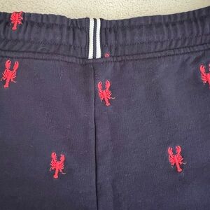 Joules Navy Shorts with Red Accents